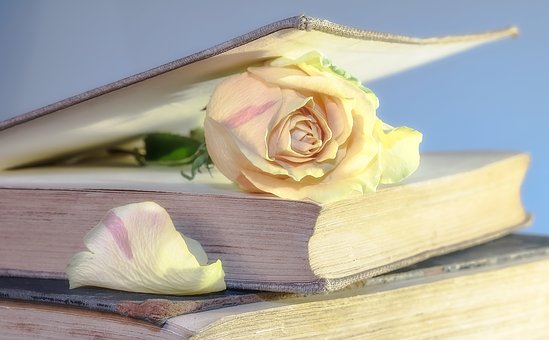 rose book